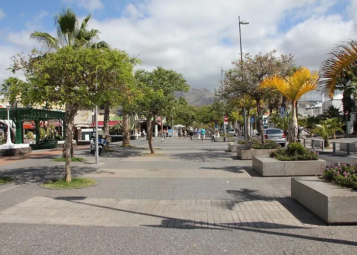 ホテル Parque Santiago 2 Americas プラヤ・デ・ラス・アメリカス